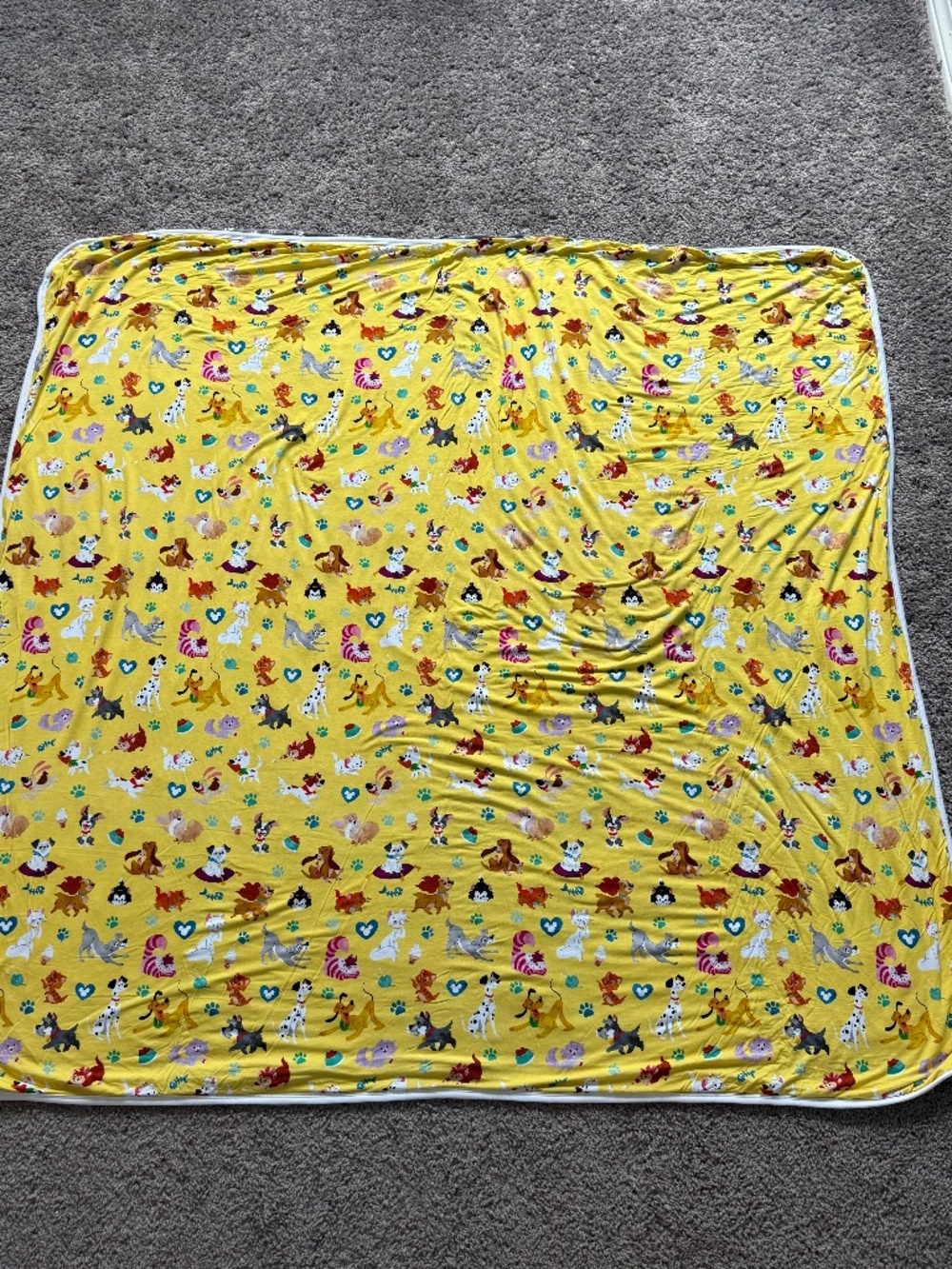 Disney Pets Little Sleepies Blanket
